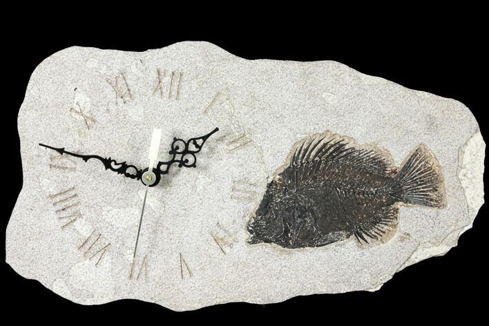 Wide Clock With Cockerellites Fish Fossil - Wyoming #132881